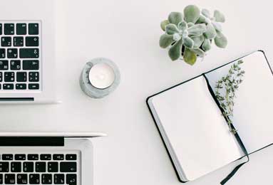 冬至麋鹿鹿角脱落：自然规律中的生命循环启示